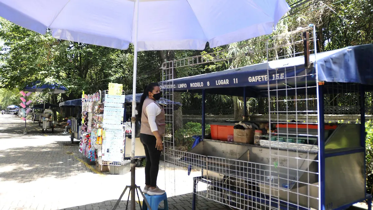 BOSQUE DE CHAPULTEPEC 15